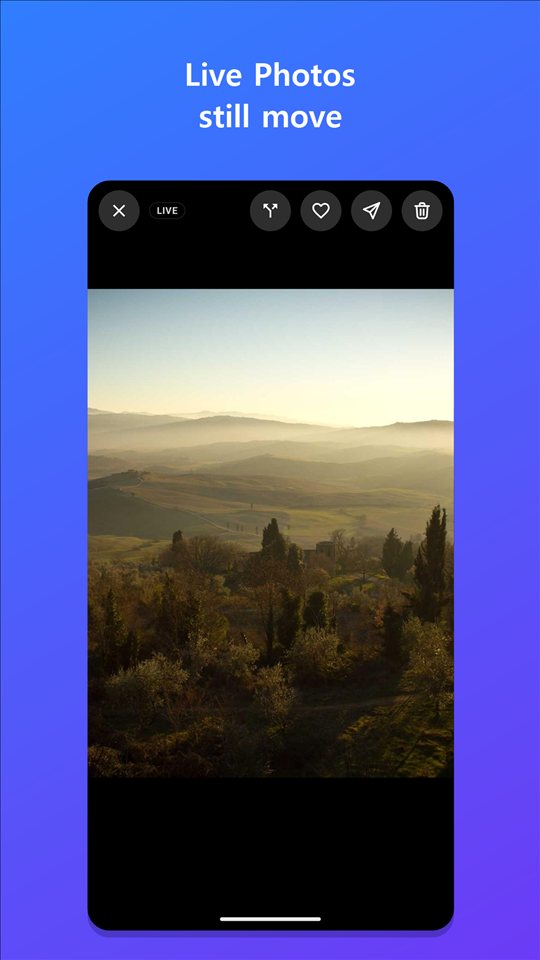 Full-screen viewer